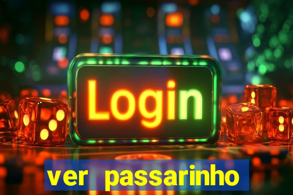 ver passarinho morto significado espiritual